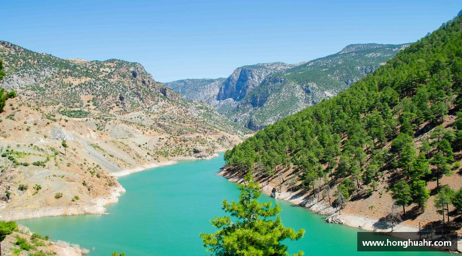 团结奋进，共赢未来！